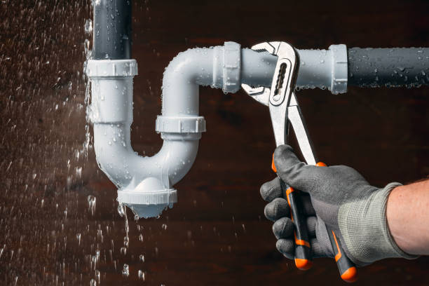 Professional Leak Detection technician working in Smithton, IL